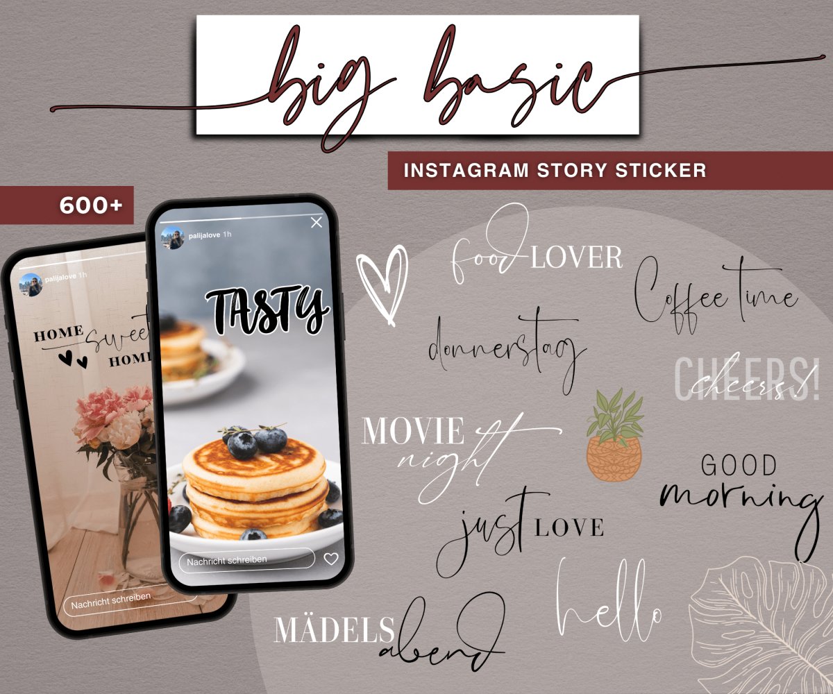 BIG BASIC + BASIC BUNDLE | 800+ STORY STICKER - palijalovedesign