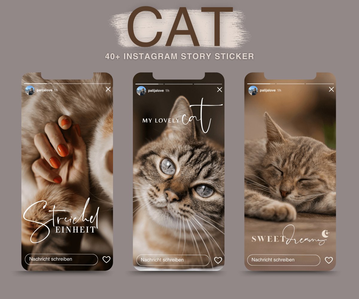 CAT | 40+ STORY STICKER - palijalovedesign