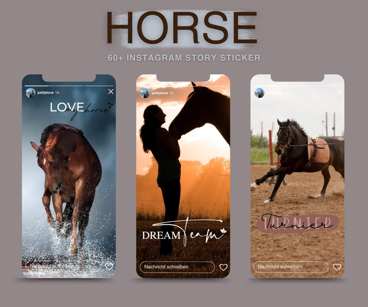 HORSE | 60+ STORY STICKER - palijalovedesign