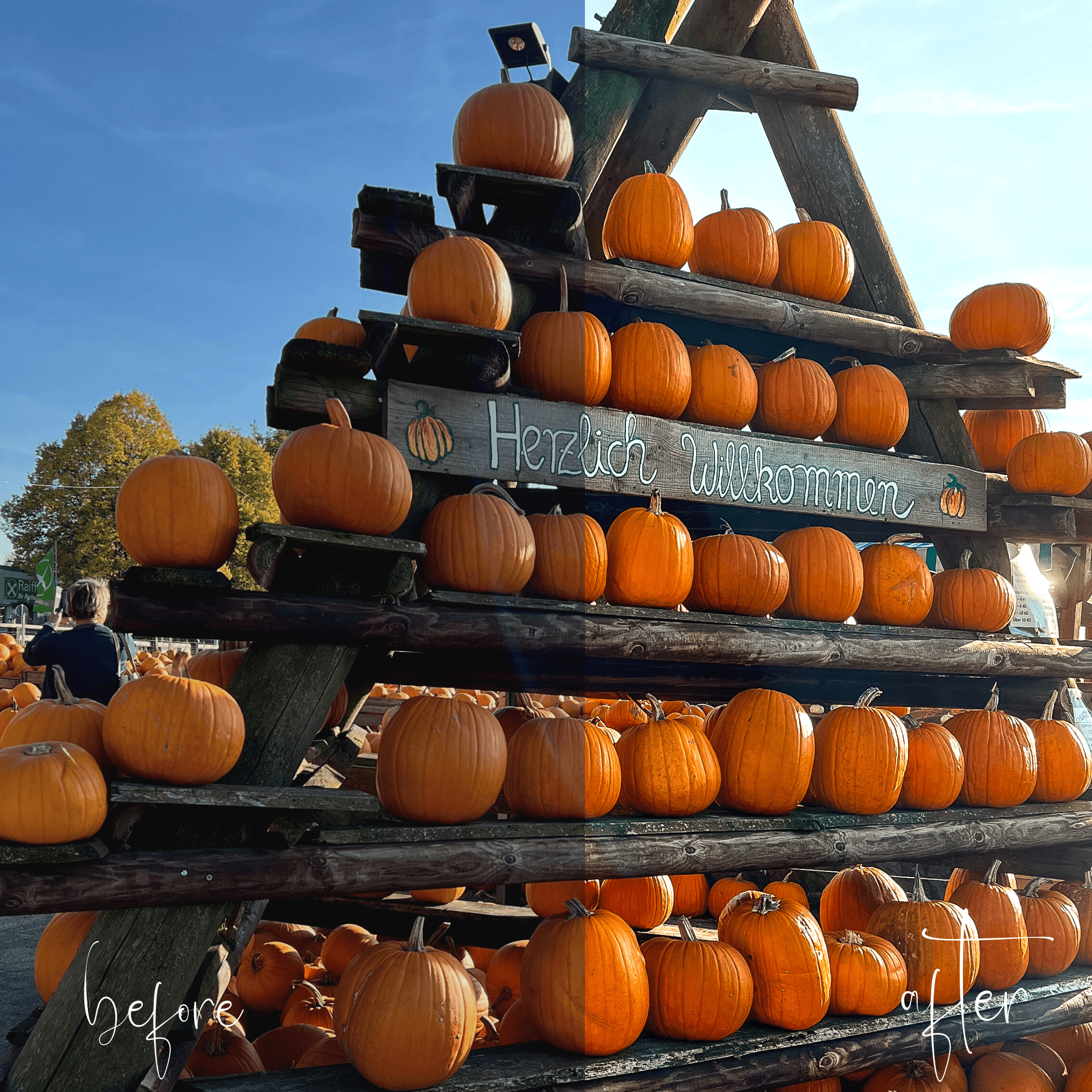 AUTUMN 4 | One Lightroom Preset - palijalovedesign